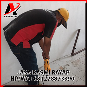 Basmi Rayap di Rundeng  Aceh