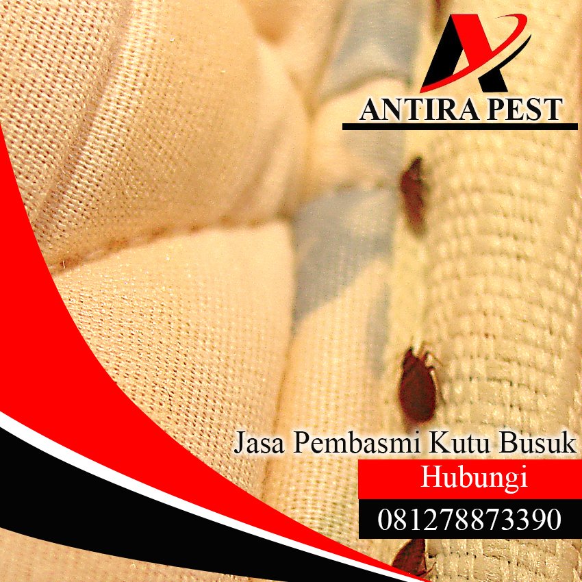 Jasa Pembasmi Kutu Kasur di Medan