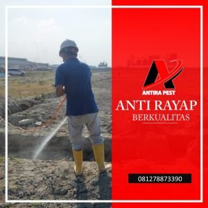 Pembasmi Rayap Rumah di Tanjung Rejo Medan
