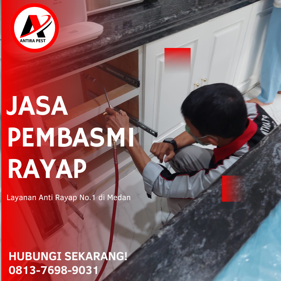 Pemusnah Rayap di Pinang Mancung Harga Basmi Rayap di Medan Amplas