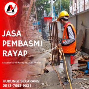 Pembasmi Rayap Medan