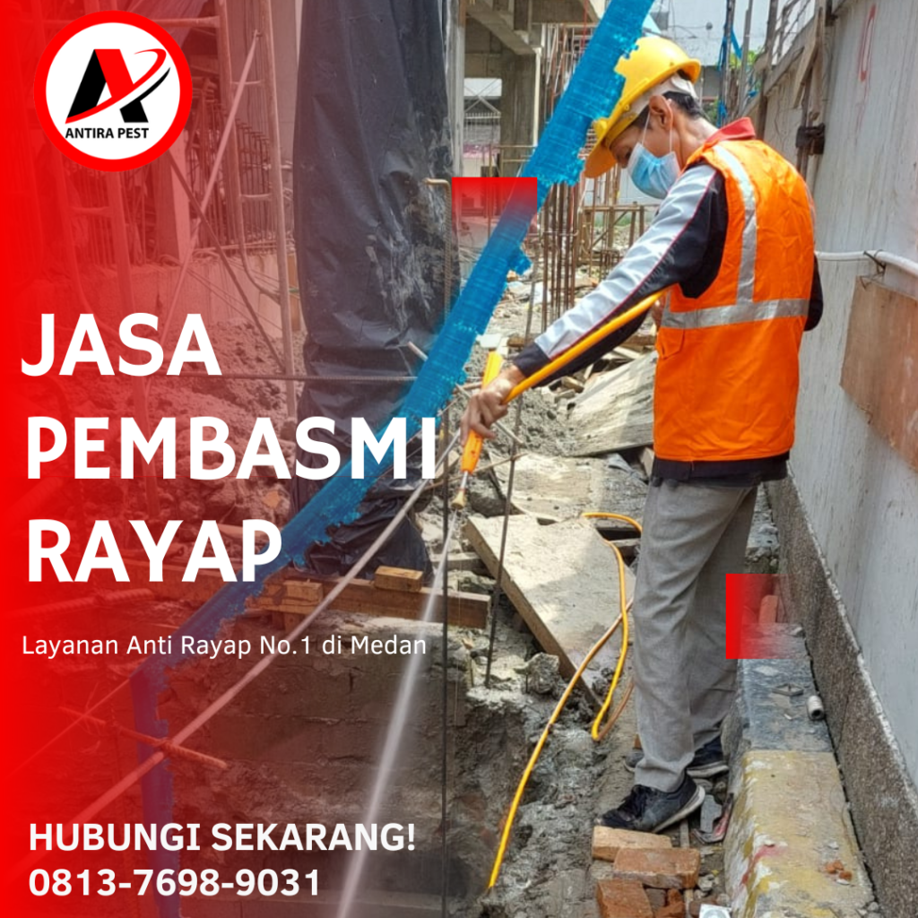Jasa Pembasmi Rayap Pasca Konstruksi Medan