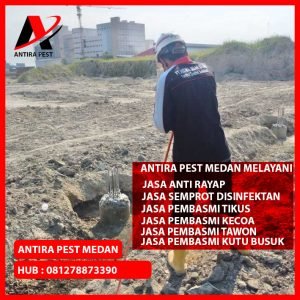 Jasa Pembasmi Hama Rumah Sidorejo Medan Berkualitas