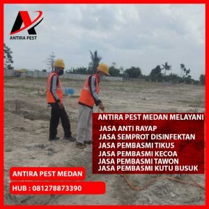 Pembasmi Hama Tikus Medan Kota Berkualitas