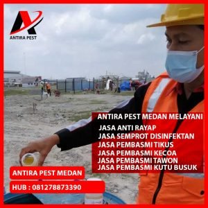 Biaya Jasa Pembasmi Tikus Gaharu Medan Berkualitas