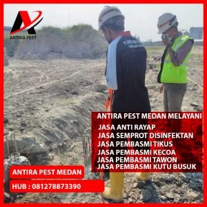 Pembasmi Hama Tikus Tembung Medan Berkualitas