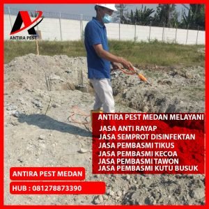 Jasa Pembasmi Hama Tikus Pulo Brayan Bengkel Medan Berkualitas