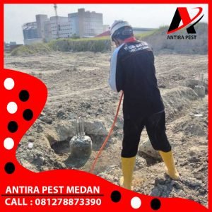Pembasmi Hama Tikus Di Rumah Sidodadi Medan Berkualitas