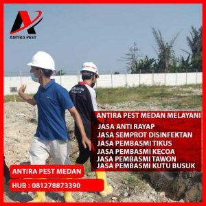 Jasa Pembasmi Tikus Rumah Medan Denai Berkualitas