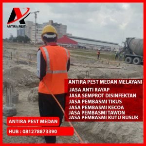 Biaya Jasa Pembasmi Tikus Medan Labuhan Berkualitas