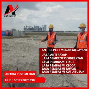 Berapa Harga Jasa Pembasmi Tikus Medan Johor Berkualitas
