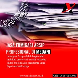 Jasa Fumigasi Pph 23 di Medan Selayang