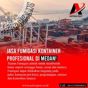 Jasa Fumigasi Kontainer di Simalingkar B Medan