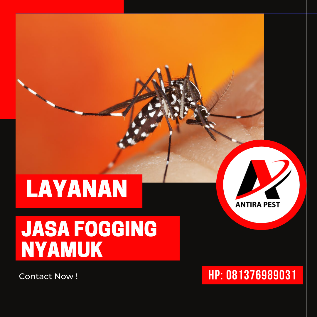 Berapa Harga Fogging Nyamuk Medan Deli Berapa Biaya Fogging Nyamuk Medan Marelan