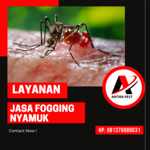 Jasa Fogging Nyamuk di Medan
