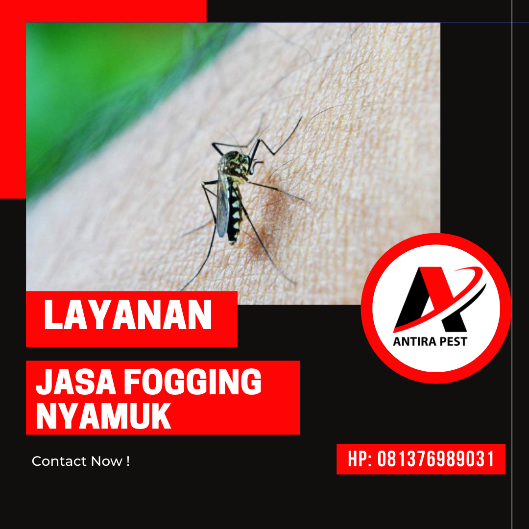 Berapa Biaya Fogging Nyamuk Medan Selayang