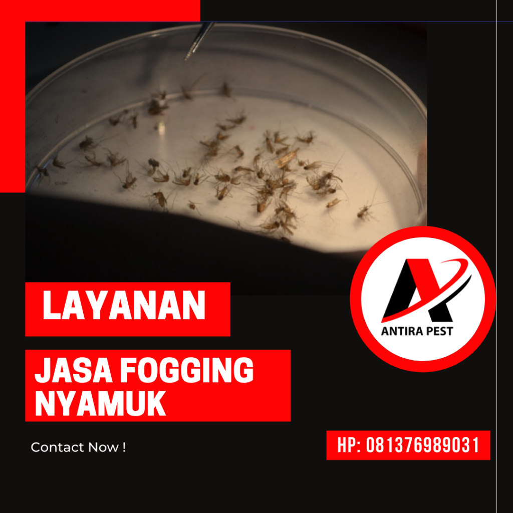Biaya Jasa Fogging Termurah Medan