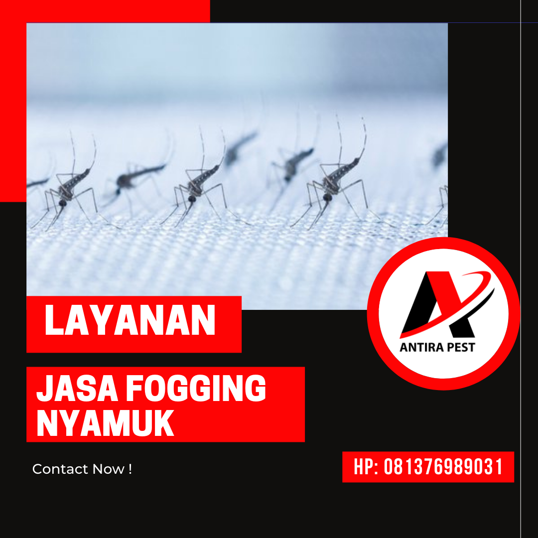 Berapa Harga Fogging Nyamuk Medan Selayang Basmi Rayap Rumah Medan Helvetia