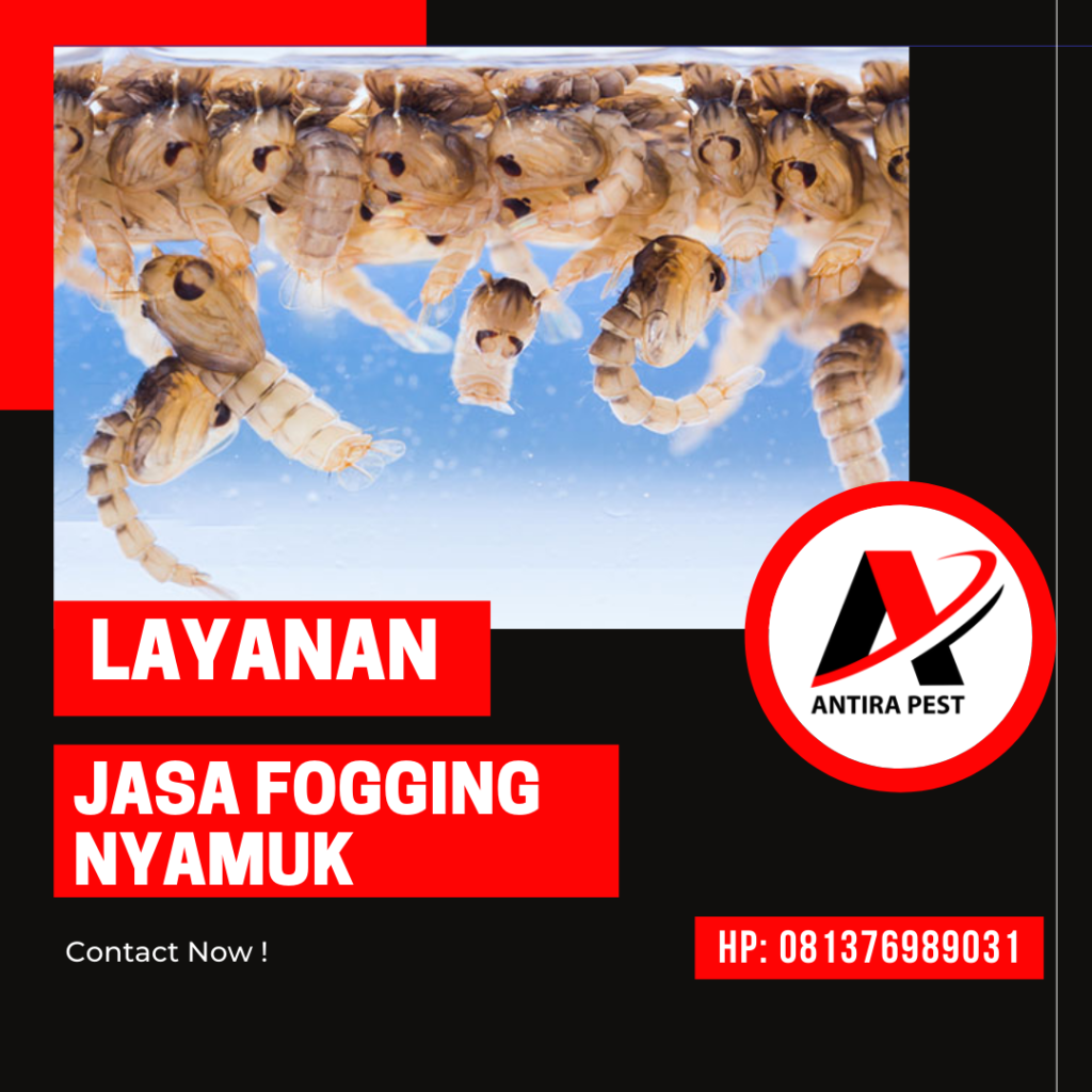 Harga Fogging Nyamuk Medan Labuhan