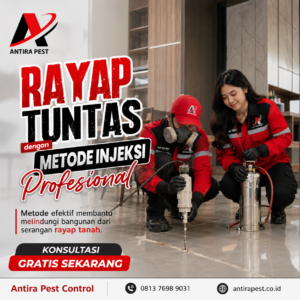Jasa Anti Rayap di Kota Medan Perusahaan Resmi