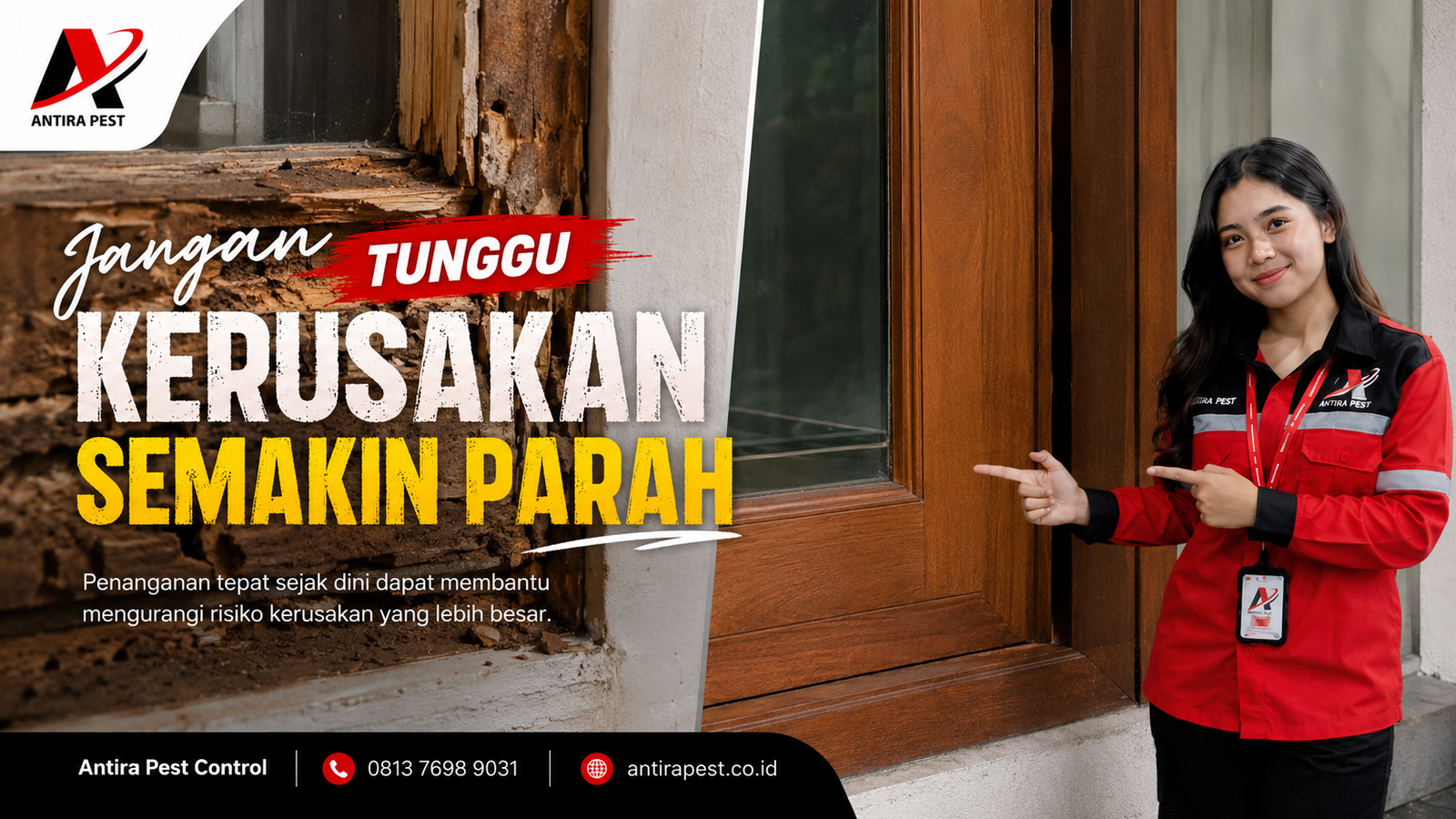 Perusahaan Anti Rayap Terbaik di Medan