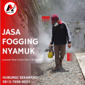 Jasa Fogging Nyamuk di Medan Sunggal