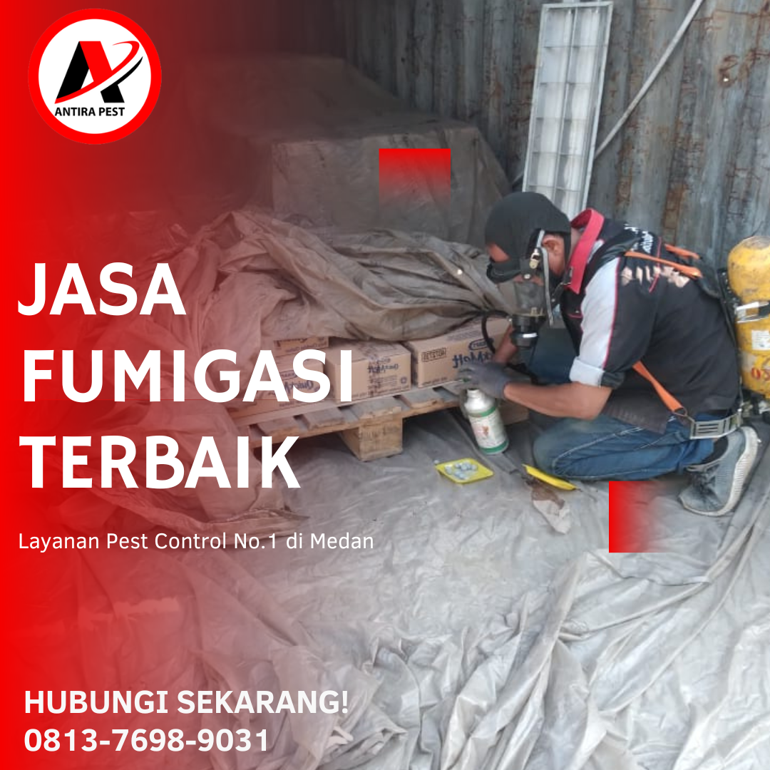 Jasa Fumigasi Perpustakaan Sidodadi Medan