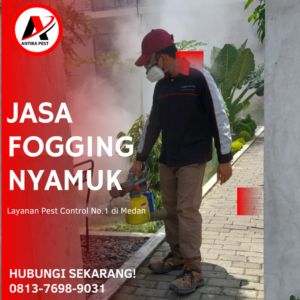 Jasa Fogging Nyamuk di Medan Helvetia