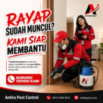 Gejala Rayap: Mengenal Tanda-Tanda dan Solusi Terbaik