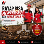 Harga Basmi Rayap di Medan Kota