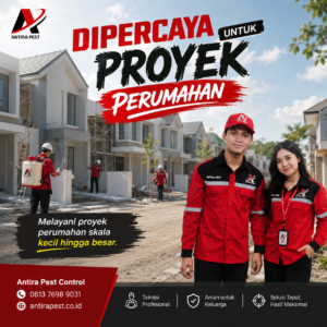 Jasa Anti Rayap di Aceh Kota