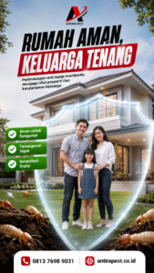 Jasa Anti Rayap di Medan Petisah