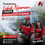 Jasa Fogging Nyamuk di Medan Tuntungan