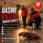 Jasa Anti Rayap Terdekat Medan