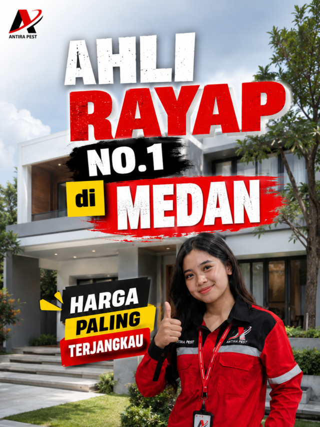 Spesialis Basmi Rayap Medan dengan Metode Aman dan Efektif